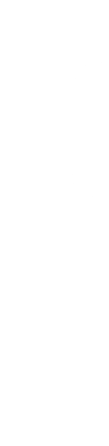 texture-divider-vertical